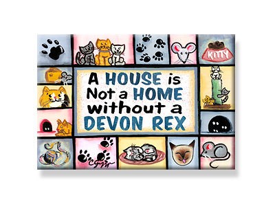 DEVON REX CAT MAGNET kitten kitty kitties Gift Fridge Magnet Buy 3 