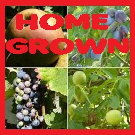 GROWING STRAWBERRIES AT HOME SMALLHOLDING collection JOB LOT DVD 