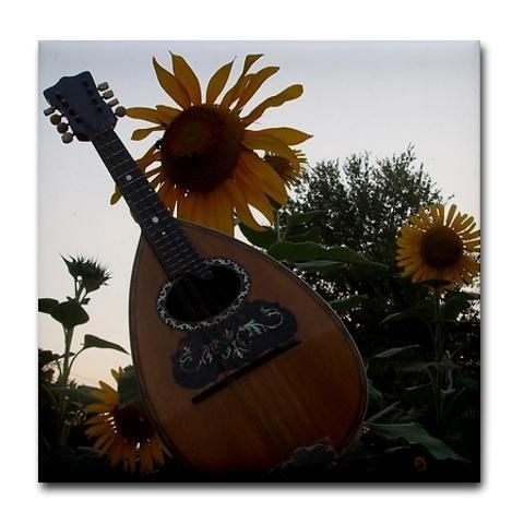 TILE COASTER ~ Roundback Mandolin & Sunflowers ~ Beautiful Italian 