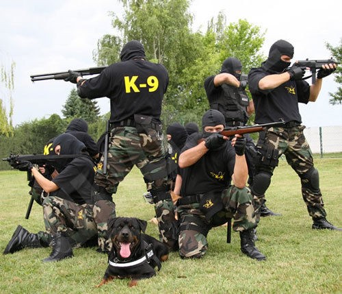 police schutzh und security k9 dog training great labels from