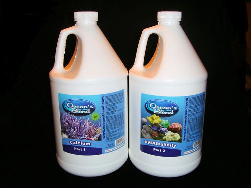 Pet Supplies  Aquarium & Fish  Coral  Ricordea & Mushrooms