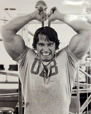 Arnold Schwarzenegger Poster ~ Workout Weightlifting Bodybuilding 