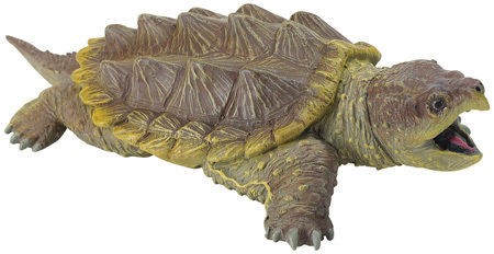 alligator snapping turtle safari ltd $ 25 freeship time left