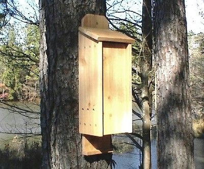   HOUSE/BAT HOUSES/BAT BOX THE SKEETER EATER HOTEL 