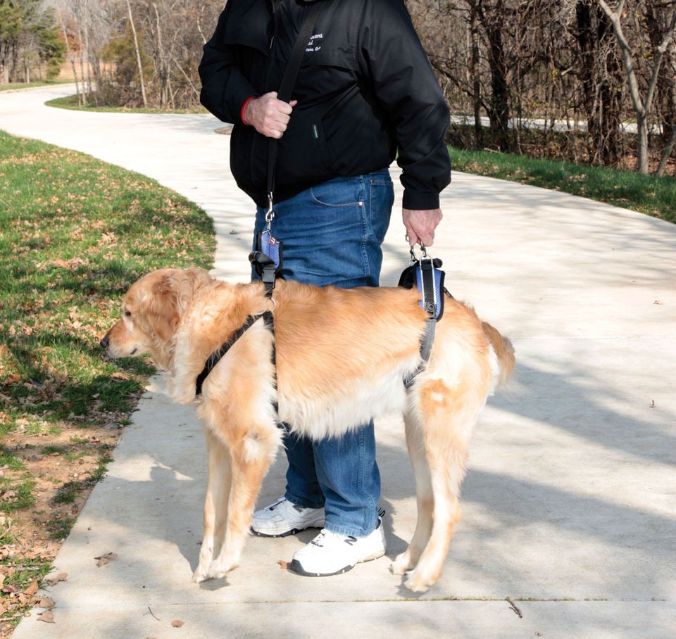   Body or Rear Dog assist Pet Care Lift Harness invalid mobility systems