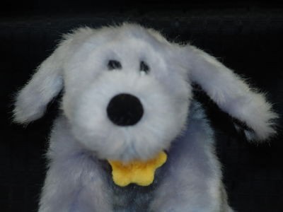 geoffrey toys r us cosmo plush puppy dog lovey 10