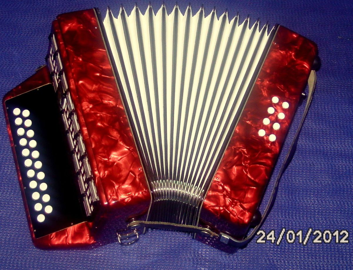   in Germany Weltmeister Diatonic Accordion Accordian Case Straps