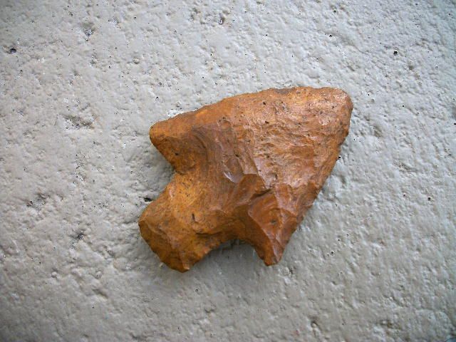 FLORIDA ALACHUA ARROWHEAD FINE 2 1 4 POLISH