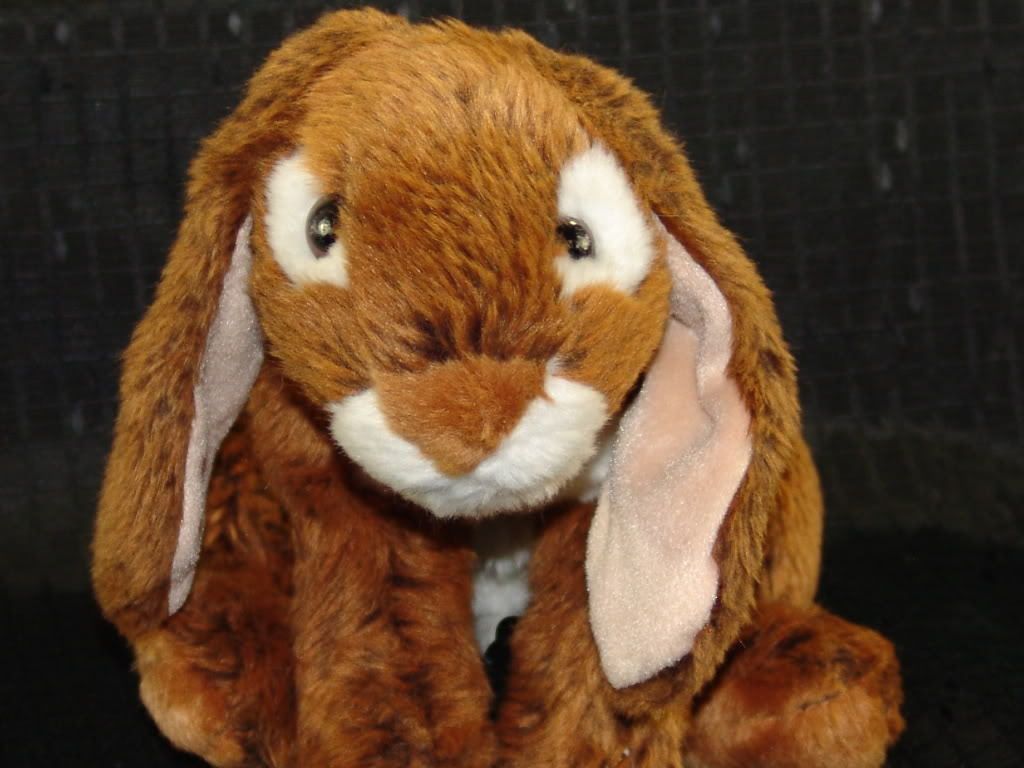 Animal Alley Brown Plush Bunny Rabbit Stuffed Animal