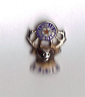 Vintage Elks BPOE Fraternal Member Lapel Pin Enameled