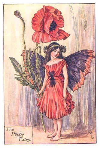 Flower Fairies Alphabet c1940s Old Print Herb Twopence