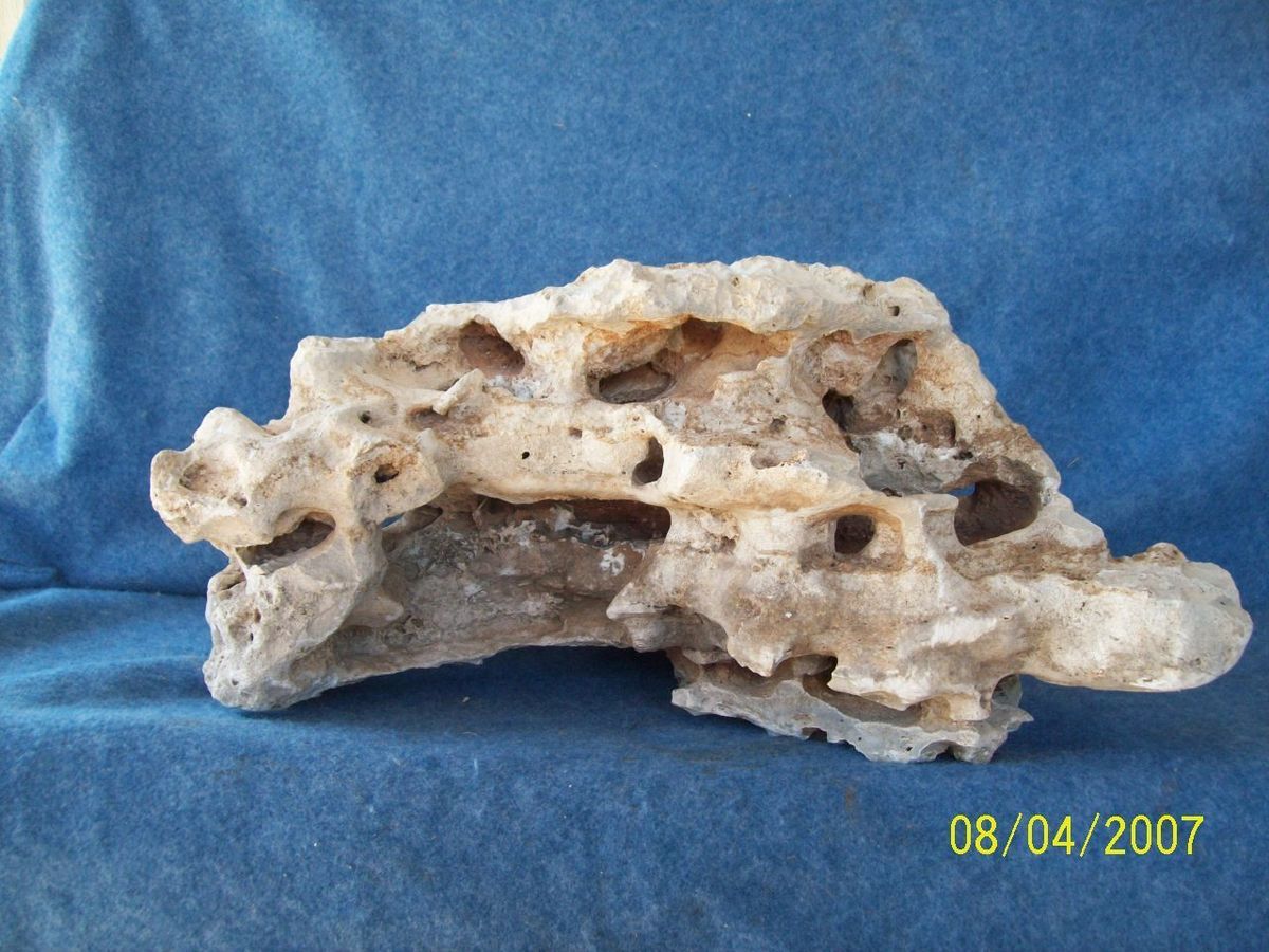 ULTIMATE TEXAS AQUARIUM HOLEY ROCK HUGE HOLES TUNNELS CAVES 52 LB 