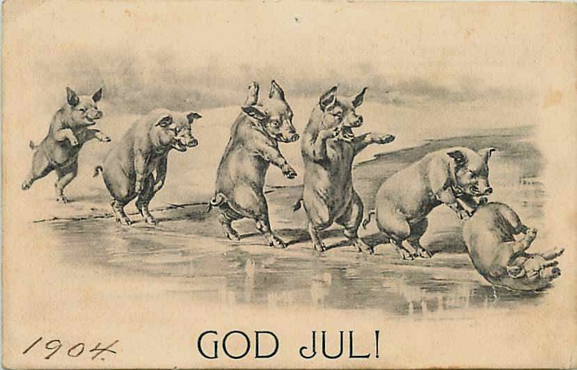 christmas pigs ice skating 1904 vintage postcard