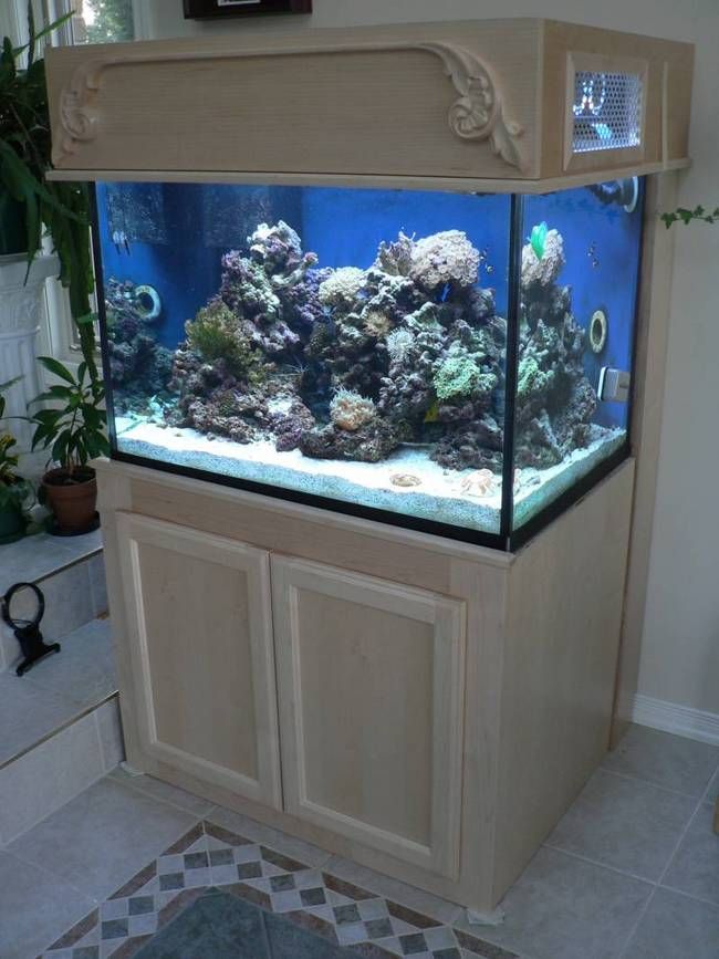 In the picture, you see the stand I built and my beautiful aquarium 