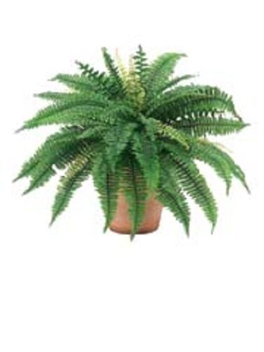 20 inch Boston Fern Bush Silk Artificial Plants Wedding Arrangements 