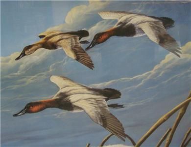 ARTHUR G. ANDERSON signed DUCKS UNLIMITED print LITHOGRAPH 1344/5000 