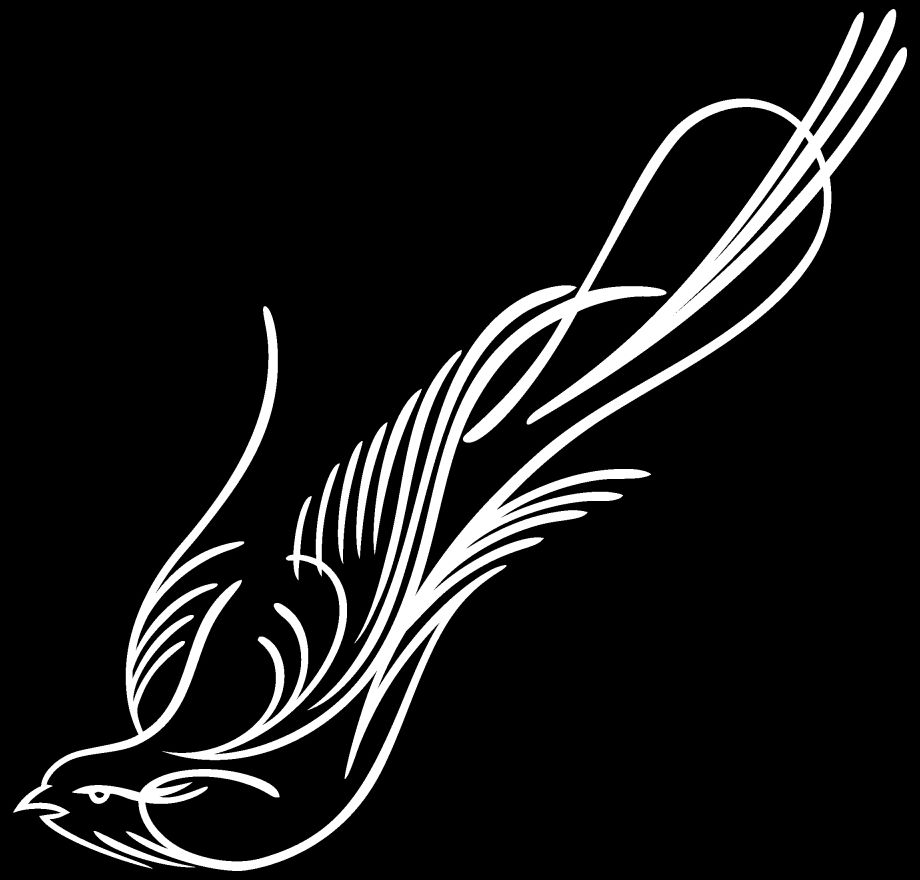 Vinyl Pinstripe Pinstriping Decal Sticker Graphic Birds