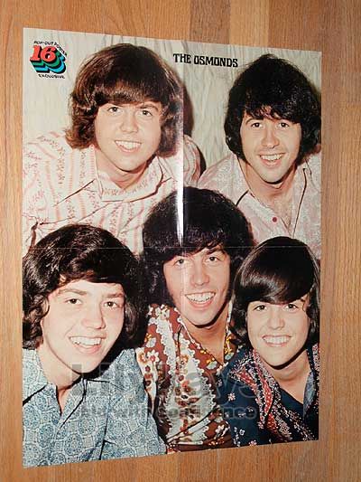 David Cassidy SHIRTLESS Bobby Sherman Donny Osmond Osmonds Jackson 5 