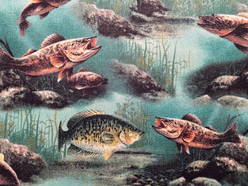 New Bass Fish Lake Pond Underwater Nature Rocks Fabric BTY