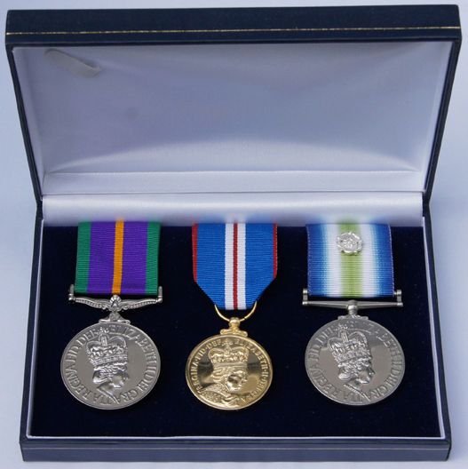 Acc Campaign Service Jubilee 2002 South Atlantic Rosette Medal Trio 