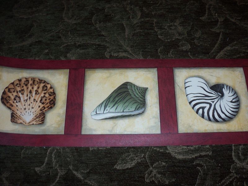 WALLPAPER BORDER Seashells with Animal Patterns Zebra Tiger 15 = 1 