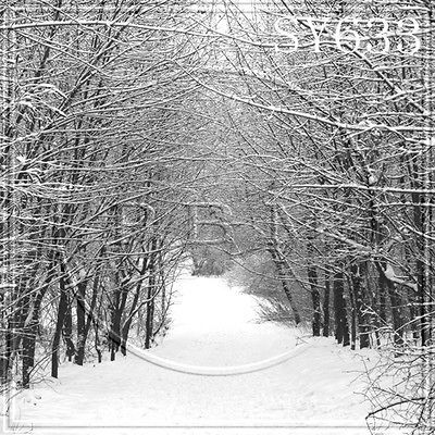 CHRISTMAS WINTER OUTDOOR SNOW 10x20 FT CP PHOTO SCENIC BACKGROUND 