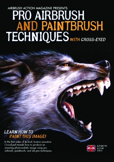 Pro Airbrush and Paintbrush Techniques   Airbrush Action DVD