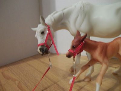 red breyer susecion le fire halter lead tack set time