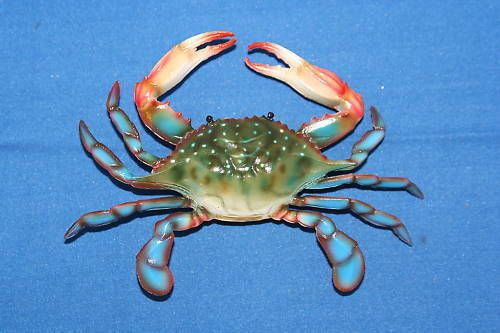 BLUE CRAB SEALIFE NAUTICAL DECOR BATH POOL SPA FISHING CRAB TRAPS