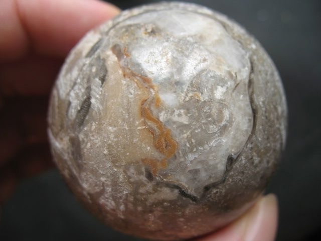 Big Indian Coral Fossil Crystal Sphere Ball So RARE