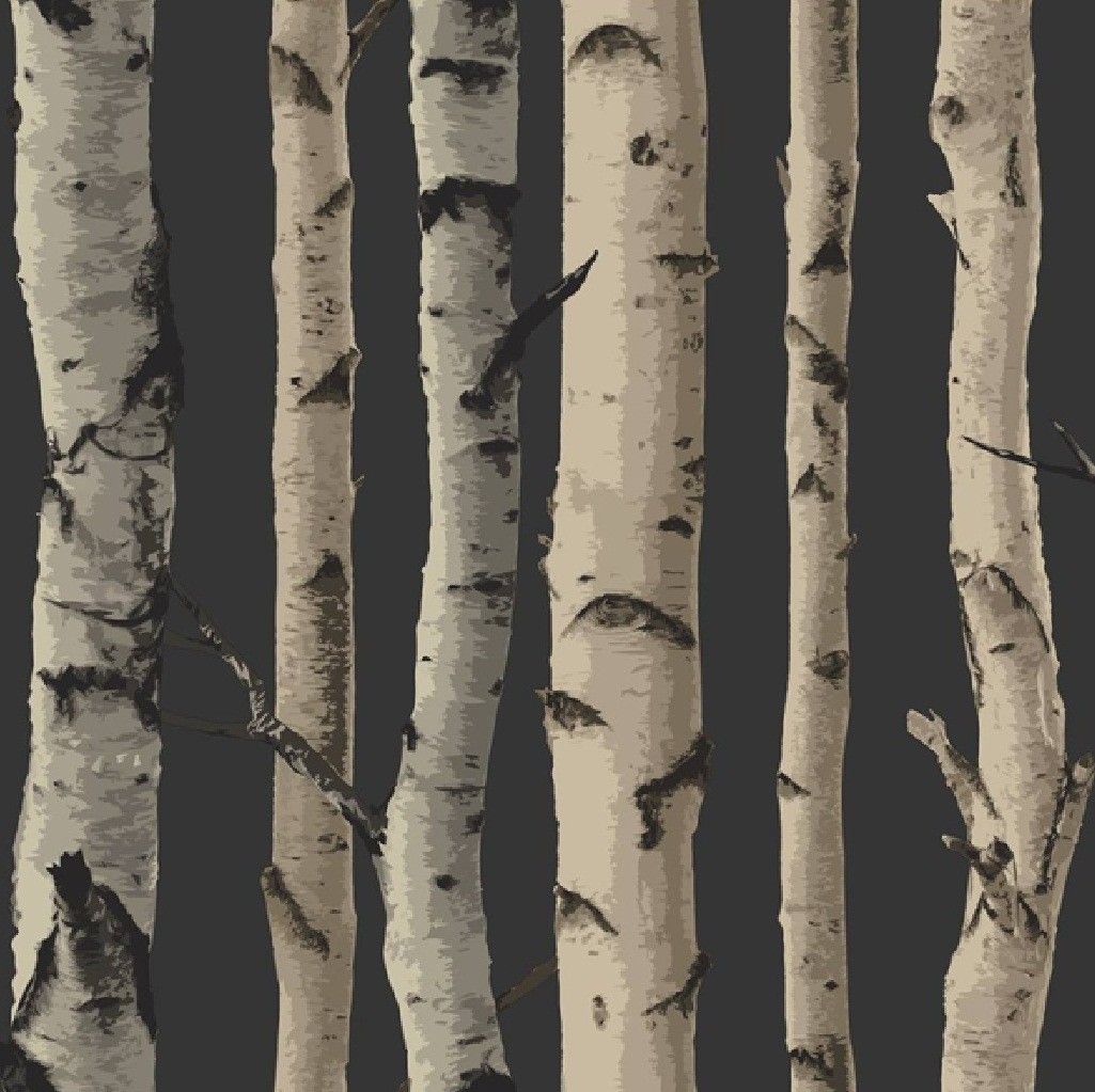 New Birch Tree Woods Branches Jungle Forest Print 10M Wallpaper Roll 