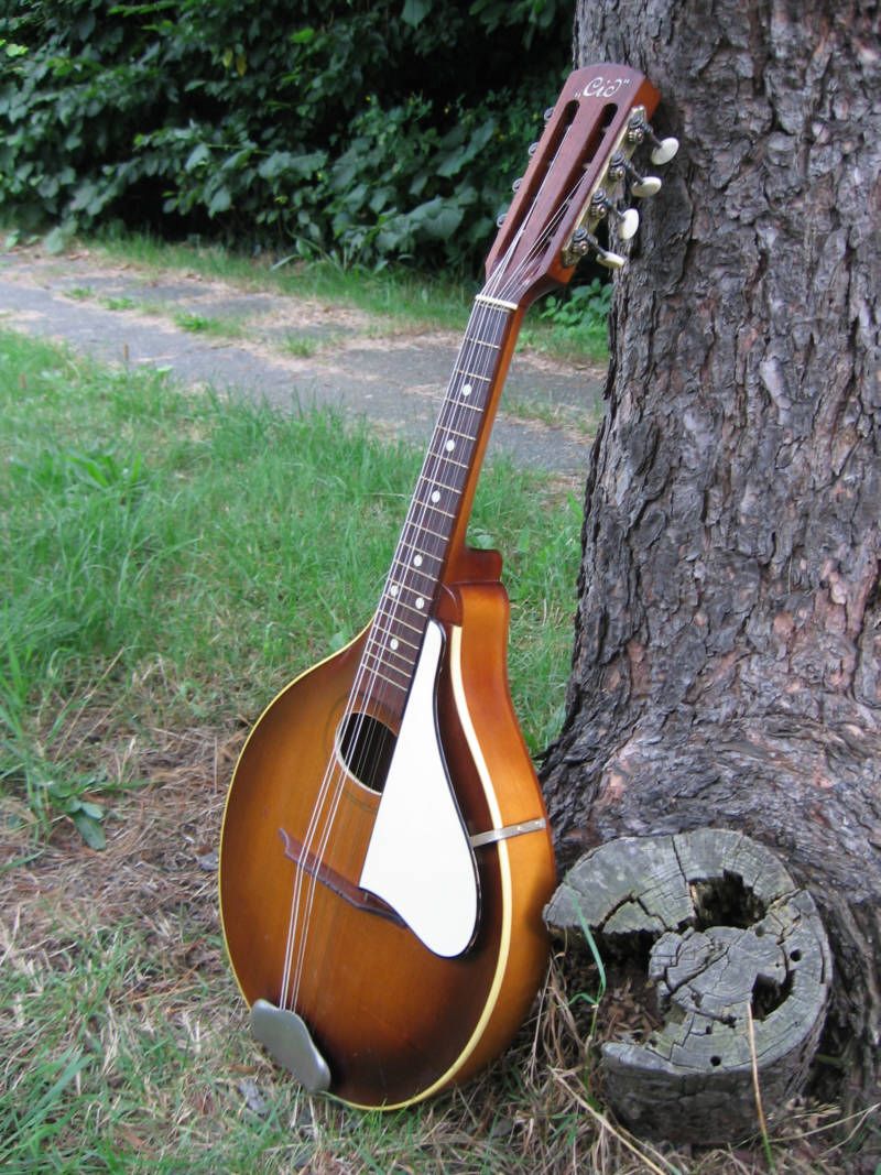   old german roundhole A style Bluegrass Mandolin   vintage