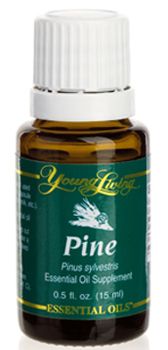 PINE 15ML Young Living Essential Oil ANTI DIABETIC UTI LUNG SINUS AID