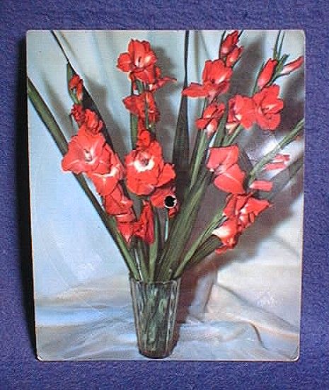  Disques Vase avec Gladiolas, contenant la chanson Marjolaine, de 