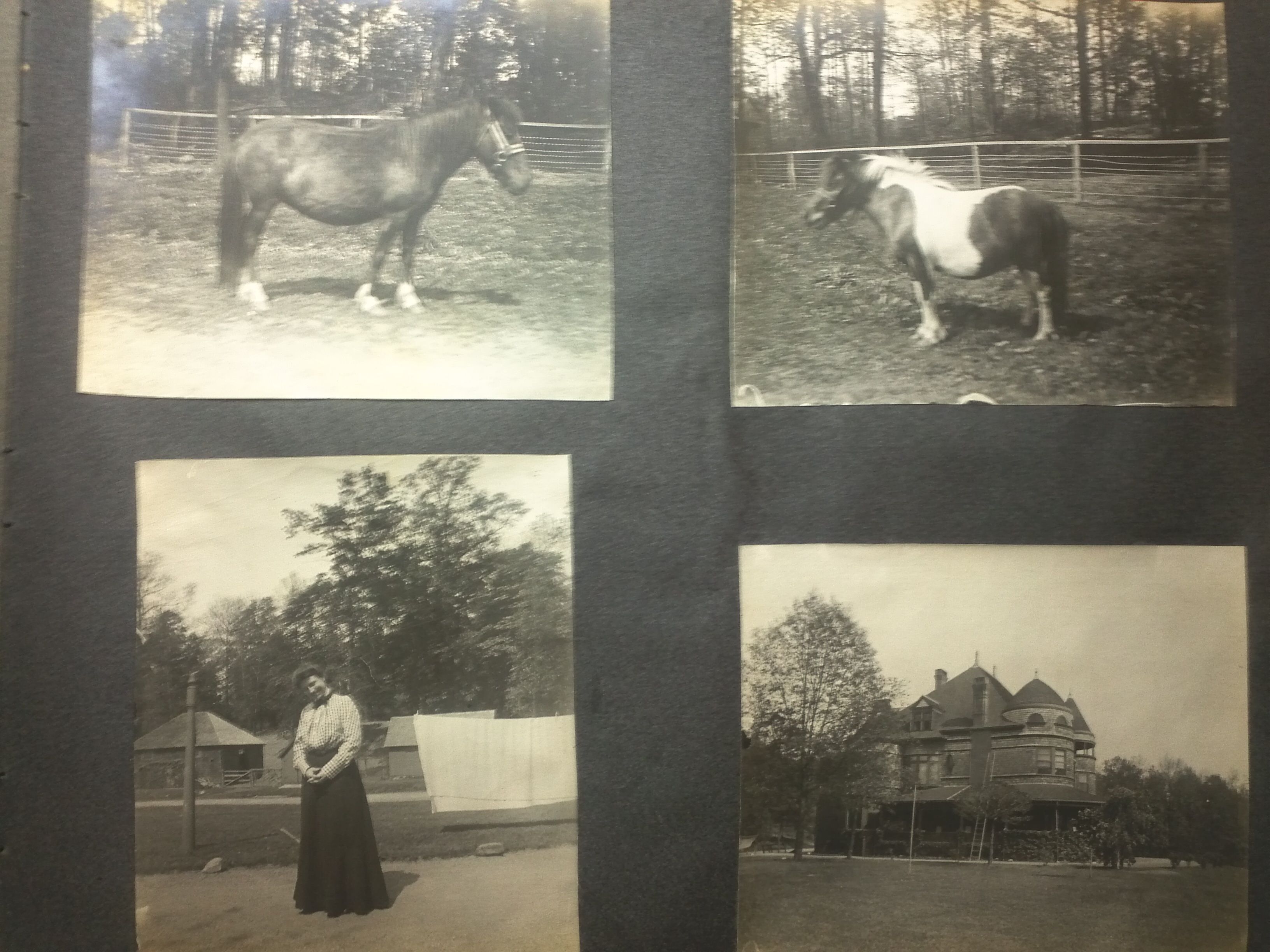 Antique CA 1905 Photo Album Horses Rail Travel Golf Yellowstone Grand 