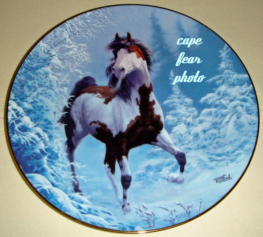 Chuck DeHaan Wild Horse Winter Renegade Plate BX COA