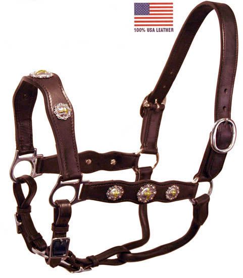 Halter_USA_Cross_Concho