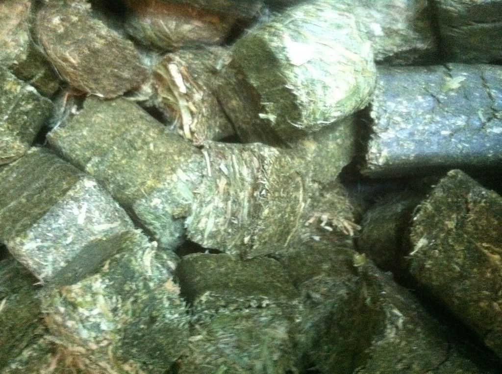 14 pounds   ALFALFA HAY CUBES FOR RABBITS HAMSTER GUINEA PIG