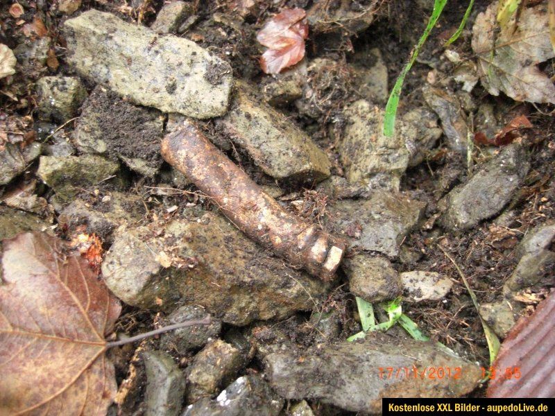 Arado 234 Crash Relic Remagen Battle Shot Down by U s Air Force Pilot