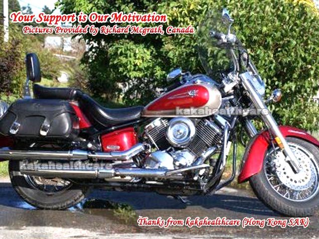 Engine Guards Crash Bar VStar V Star 1100 XV11 Custom