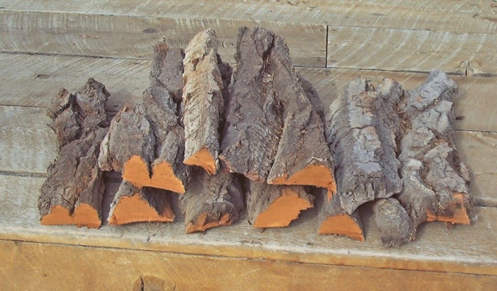 Cottonwood Bark for Carving 10 pieces 18 pounds