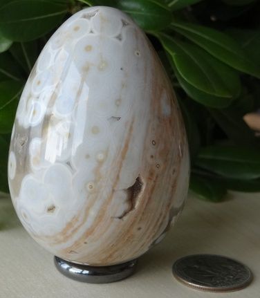 ORBICULAR JASPER / OCEAN JASPER 75 MM GEM STONE CRYSTAL EGG   FROM