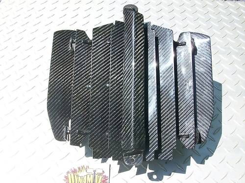  Can An DS 450 Carbon Fiber Radiator Louver Guard