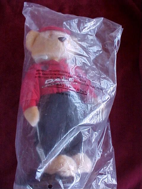 This is a Dale Earnhardt collectors bear in the original packaging. It