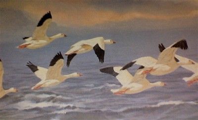 snow geese print from remington portfolio