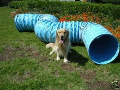 Very Durable Vinyl 20 Tunnel Dog Agility Equipment