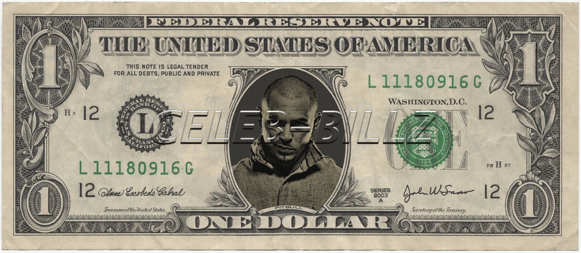 Pitbull Dollar Bill Real USD Celebrity Novelty Collectible Money