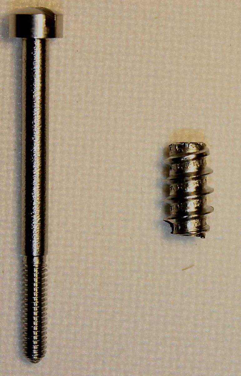 Set of 12 Stainless Steel Concertina Parts End Screws and Self Tapping