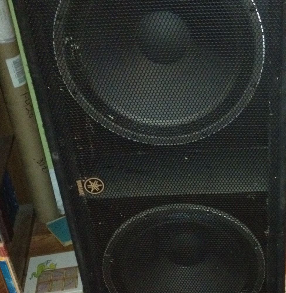  2 Yamaha Double 18" Sub Woofers