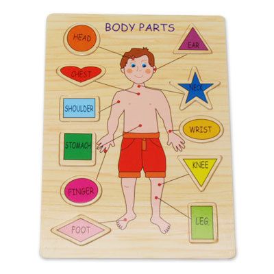 New Wooden Body Parts Learning Puzzle Educational Toy